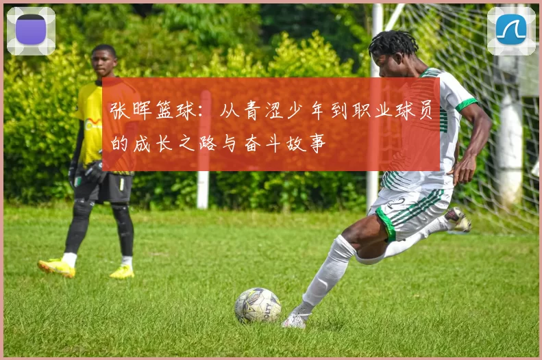 张晖篮球：从青涩少年到职业球员的成长之路与奋斗故事