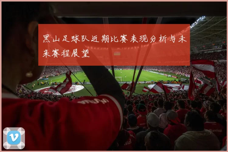 黑山足球队近期比赛表现分析与未来赛程展望