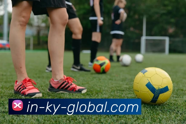 开云·体育平台生态图