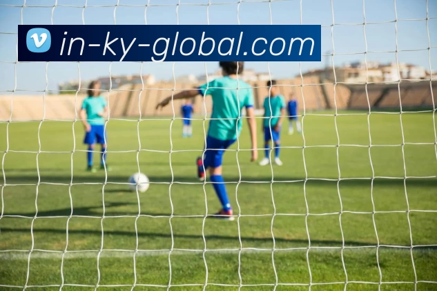 开云·体育APP 封面图